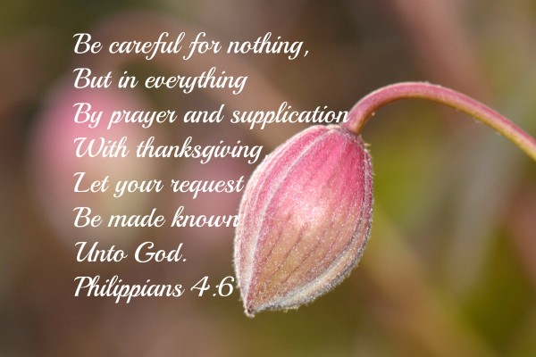 Be careful for nothing by Edifying Designs